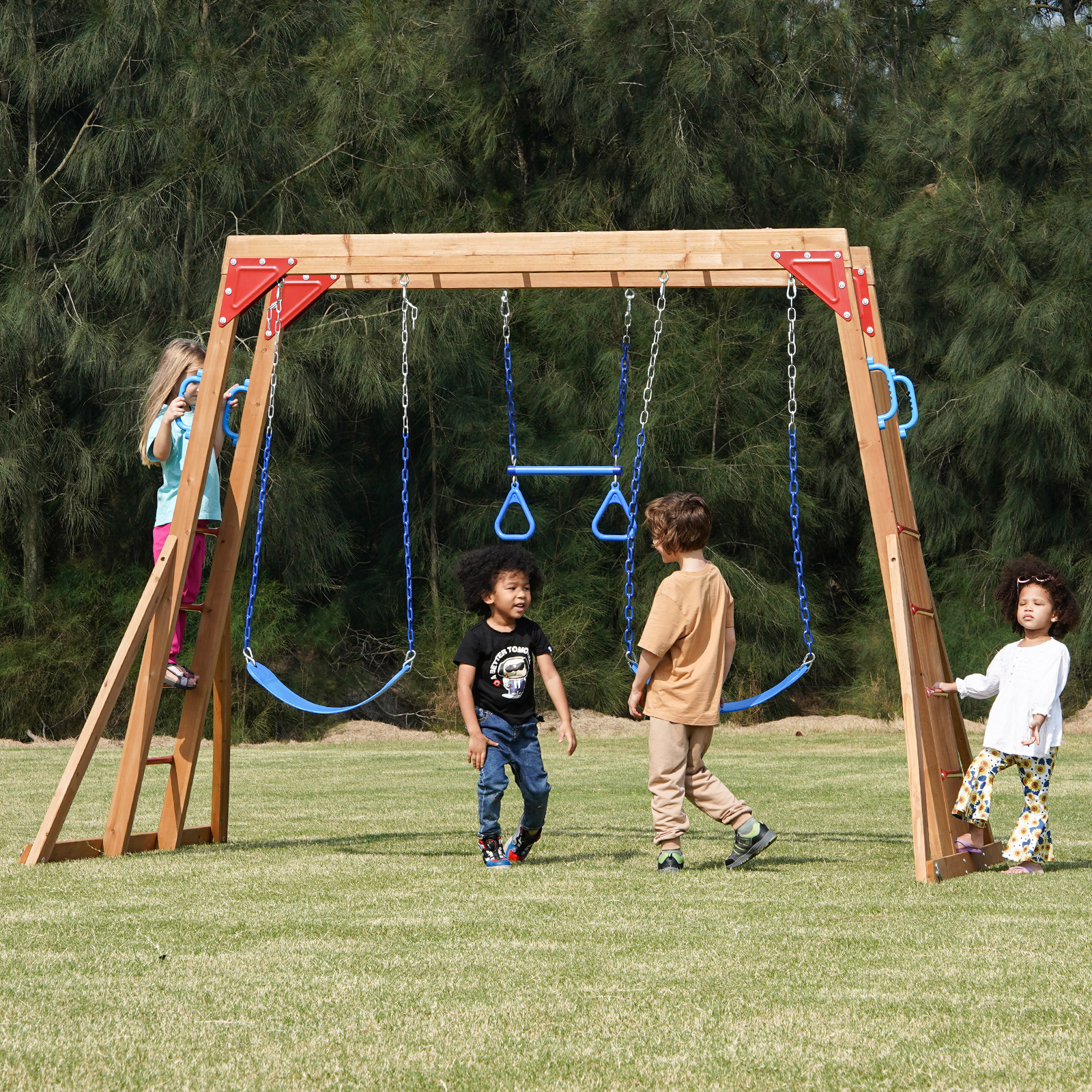 Choosing a Swing Sets For You